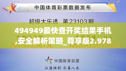 494949最快查开奖结果手机,安全解析策略_尊享版2.978