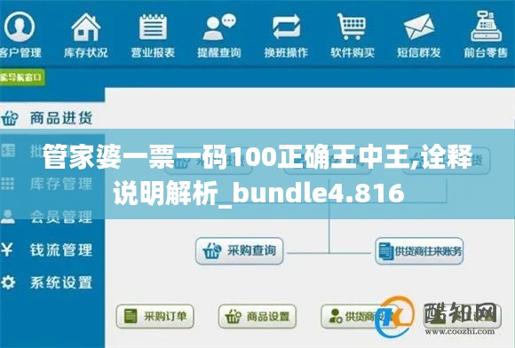 管家婆一票一码100正确王中王,诠释说明解析_bundle4.816