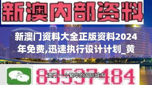 新澳门资料大全正版资料2024年免费,迅速执行设计计划_黄金版6.255