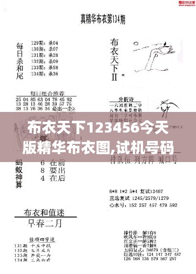 布衣天下123456今天版精华布衣图,试机号码,系统研究解释定义_视频版4.798