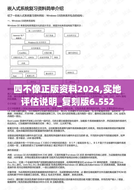 四不像正版资料2024,实地评估说明_复刻版6.552