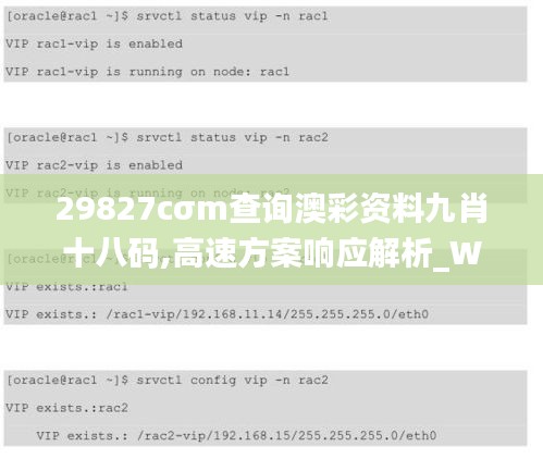 29827cσm查询澳彩资料九肖十八码,高速方案响应解析_WP18.492