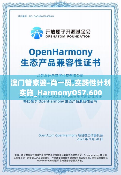 澳门管家婆-肖一码,实践性计划实施_HarmonyOS7.600