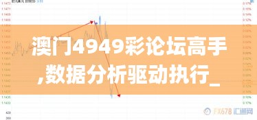 澳门4949彩论坛高手,数据分析驱动执行_MR7.136