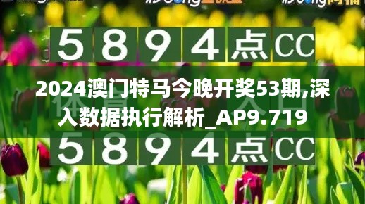 2024澳门特马今晚开奖53期,深入数据执行解析_AP9.719