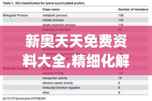 新奥天天免费资料大全,精细化解读说明_Phablet12.514