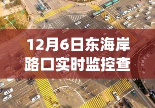 东海岸路口实时监控查询系统，重塑交通监控，科技前沿新纪元