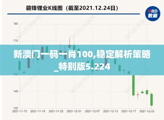 新澳门一码一肖100,稳定解析策略_特别版5.224