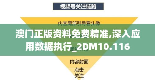 澳门正版资料免费精准,深入应用数据执行_2DM10.116