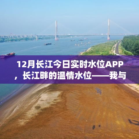 我与长江实时水位APP的温馨日常，长江畔的水情关注