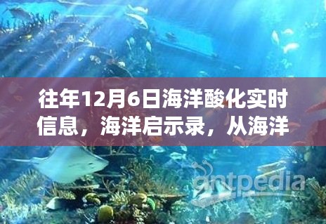 海洋启示录，从酸化的微观变化汲取成长力量——历年12月6日海洋酸化实时信息解析