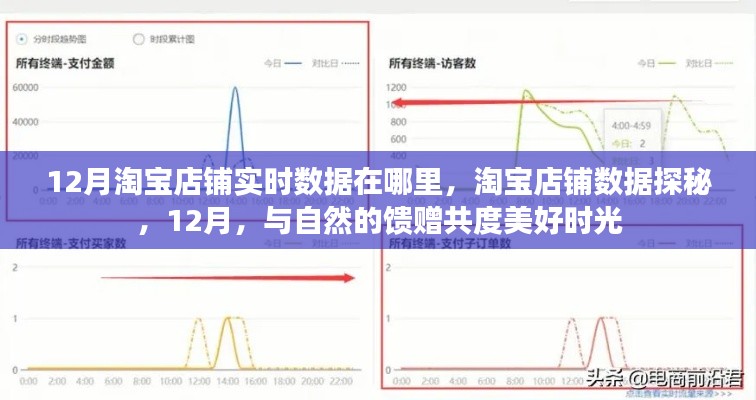 淘宝店铺数据探秘，揭秘12月销售奥秘，与自然馈赠共度美好时光