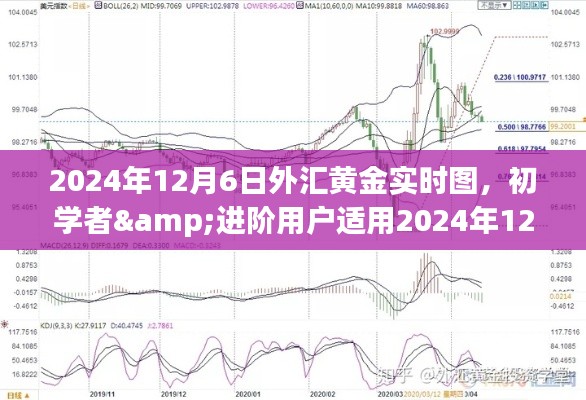 2024年12月6日外汇黄金实时图解析步骤指南，适合初学者与进阶用户