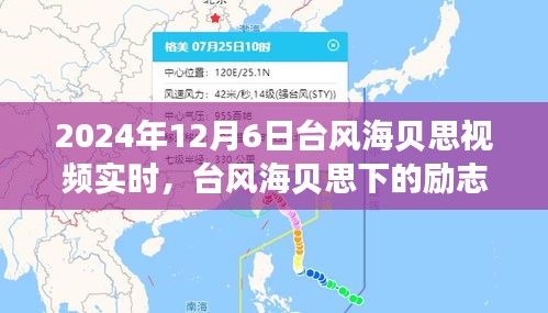 台风海贝思下的励志风暴，学习变化，自信闪耀的实时记录（视频版）