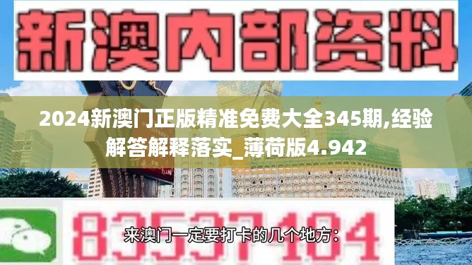 2024新澳门正版精准免费大全345期,经验解答解释落实_薄荷版4.942