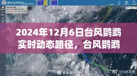 台风鹦鹉最新动态路径解析，风云再起，实时追踪报告（2024年12月6日）