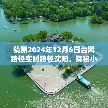 探秘小巷特色小店，揭秘台风路径下的惊喜邂逅沈阳篇，2024年台风路径预测与实时追踪