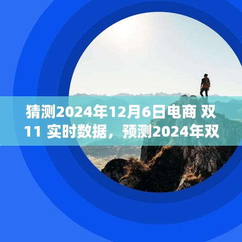 2024年双11电商巅峰实时数据洞察与预测