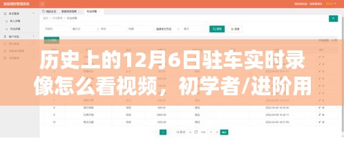 如何观看历史上的12月6日驻车实时录像视频，初学者与进阶用户指南全解析