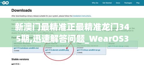 新澳门最精准正最精准龙门345期,迅速解答问题_WearOS3.121