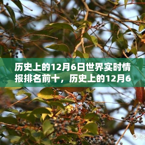 历史上的12月6日世界实时情报深度评测与介绍TOP10榜单揭晓