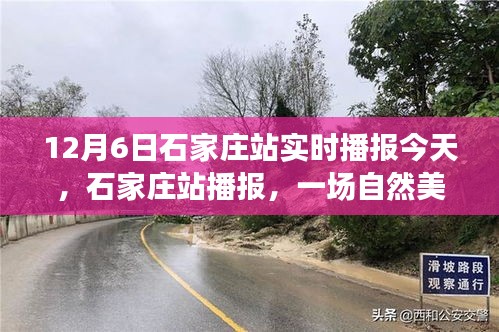 石家庄站播报，探寻自然美景之旅，启程寻找宁静绿洲