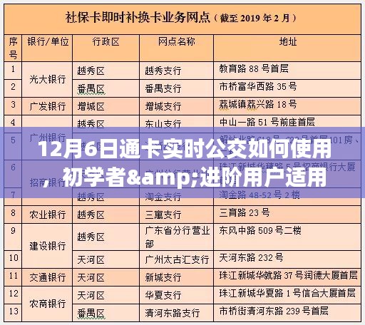 12月6日通卡实时公交使用全攻略，从初学者到进阶用户