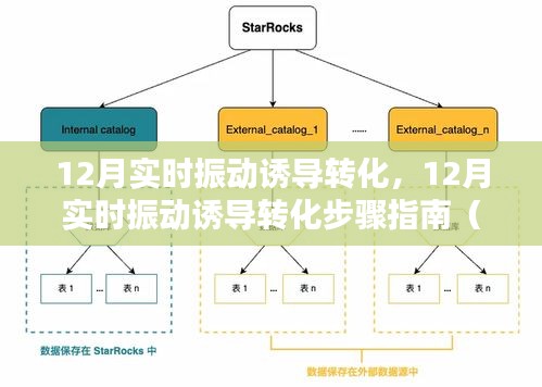 12月实时振动诱导转化步骤详解，初学者与进阶用户的必备指南