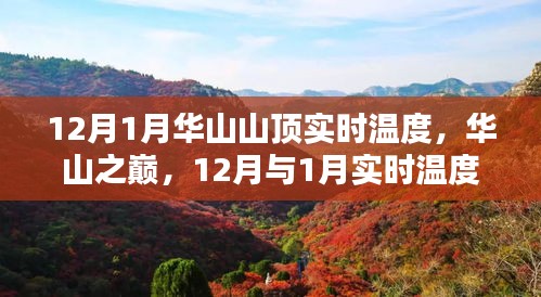 华山之巅，12月与1月实时温度体验报告