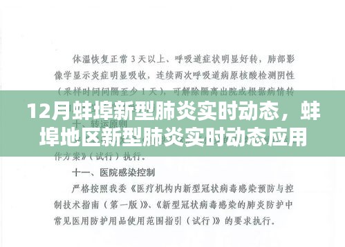 蚌埠地区新型肺炎实时动态评测报告，最新动态与评测分析（12月版）