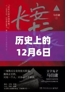 历史上的十二月六日，爱与陪伴的温馨时光上榜