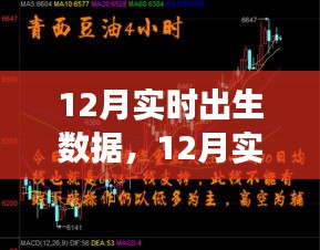 12月实时出生数据及其背后的观点碰撞与个人立场探析