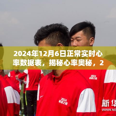 揭秘心率奥秘，2024年实时心率数据表深度解析与解析报告