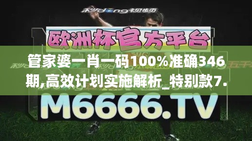 管家婆一肖一码100%准确346期,高效计划实施解析_特别款7.376