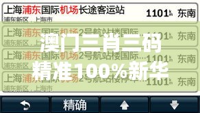 澳门三肖三码精准100%新华字典346期,迅捷处理问题解答_XR4.348