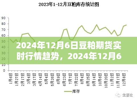 2024年12月6日豆粕期货实时行情趋势分析及操作指南