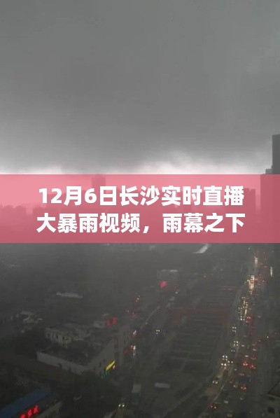 12月6日长沙大暴雨实时直播视频全面评测，雨幕之下的直播长沙