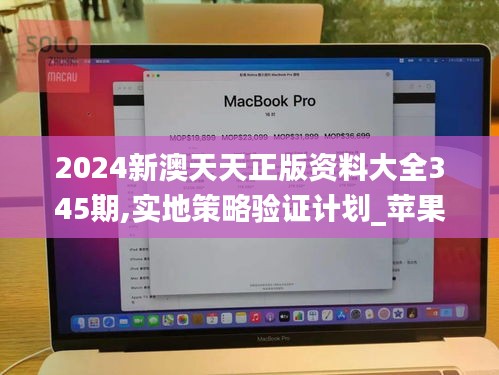 2024新澳天天正版资料大全345期,实地策略验证计划_苹果6.386