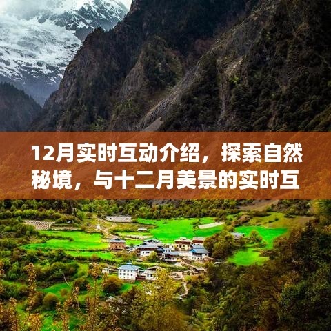 十二月实时互动之旅，探索自然秘境，寻找内心的平和与宁静