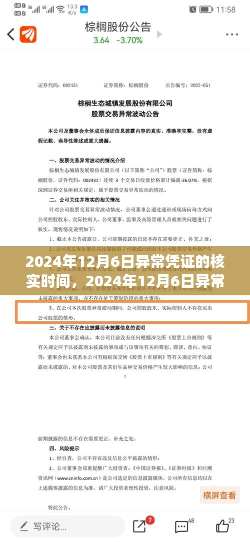 2024年12月6日异常凭证核实时刻，事件背景、影响与时代地位的深度探究