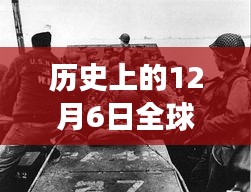 2024年12月11日 第12页