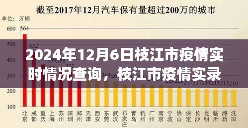 枝江市疫情实录，微观视角洞察下的深度洞察与实时情况查询（2024年12月6日）