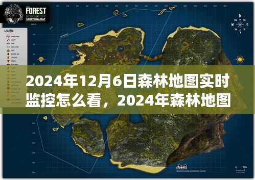 2024年森林地图实时监控观看指南，掌握森林动态，轻松观察森林地图实时监控视频