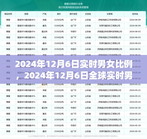 全球实时男女比例分析，聚焦2024年12月6日