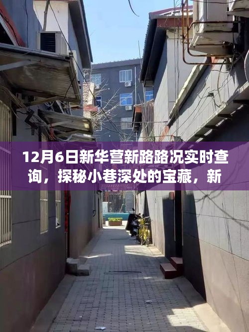 新华营新路探秘，宝藏小店与实时路况之旅