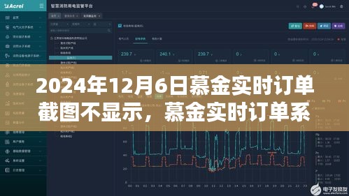 慕金实时订单系统重大故障解析，订单截图不显示的原因及应对策略