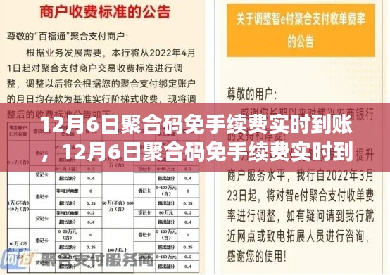 12月6日聚合码实时到账免手续费，产品深度评测与介绍