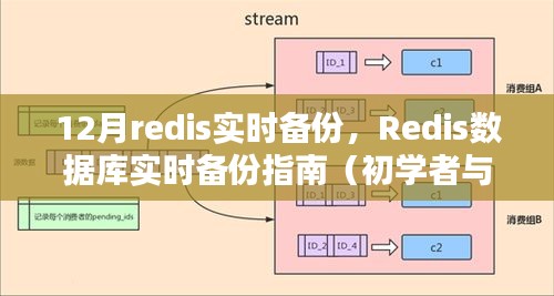 Redis数据库实时备份指南，从入门到进阶的12月备份攻略