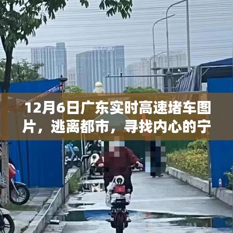 广东高速堵车图片引发的心灵之旅，逃离都市寻求内心宁静的奇妙旅程