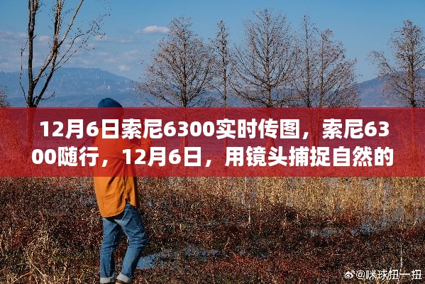 索尼6300实时传图，寻找内心平静的摄影之旅，捕捉自然的微笑